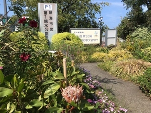 親水公園フォトスポットその2