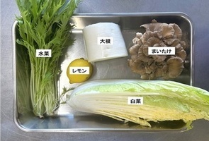 材料