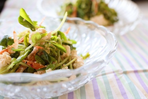 くずし豆腐と豆苗のサラダ